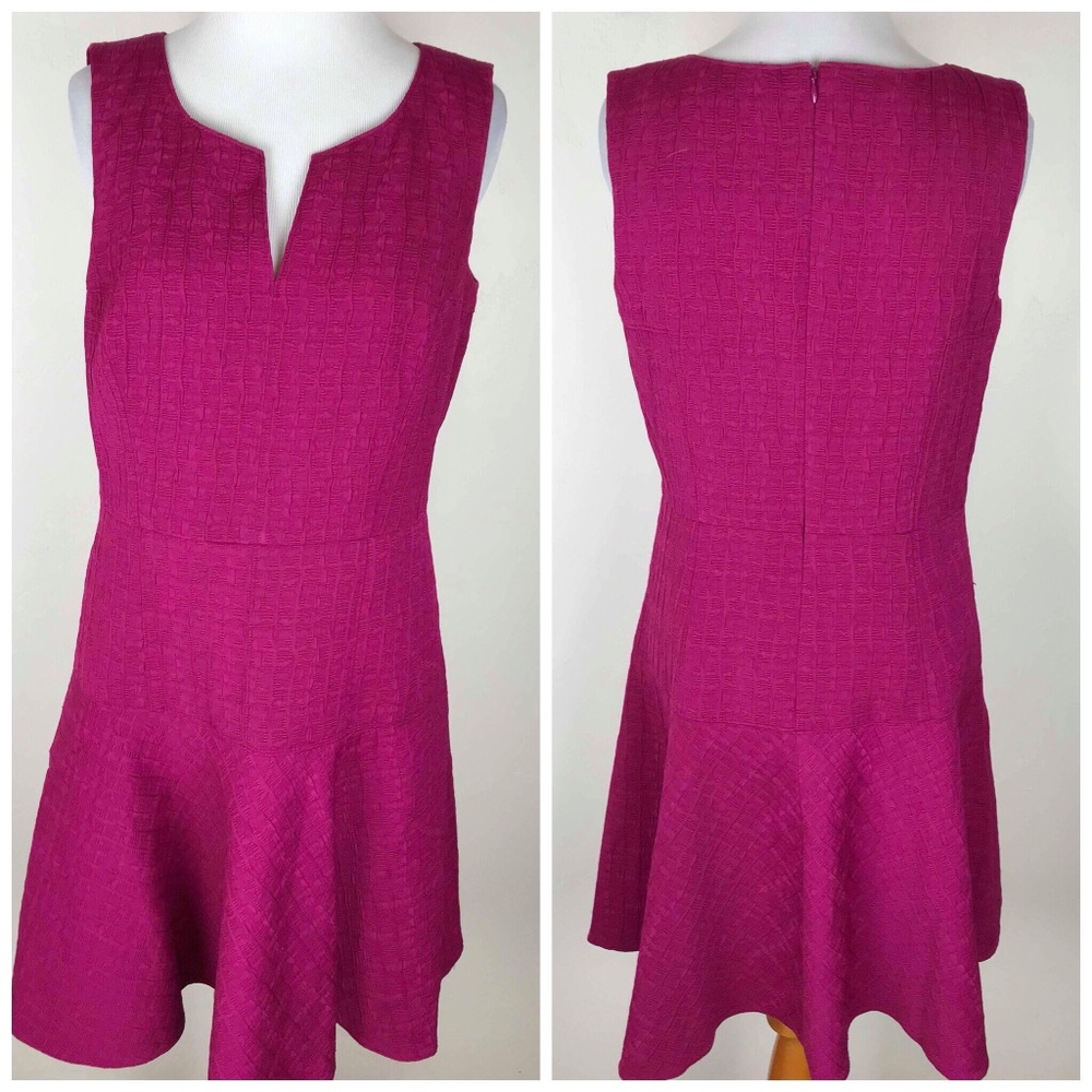 Ann Taylor Fushia Textured Dress